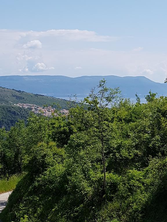 Apartment Labin